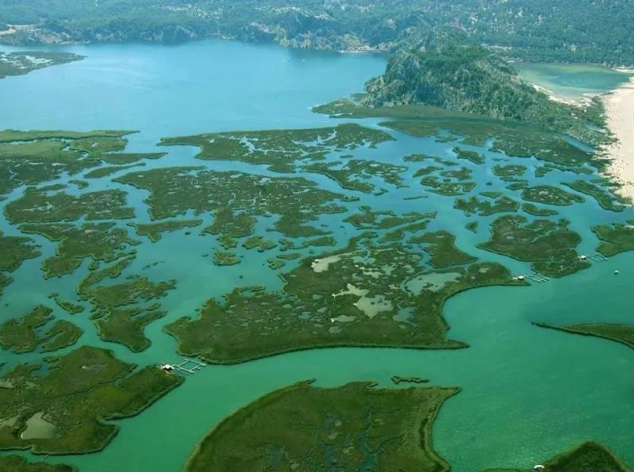 Dalyan Iztuzu Strand. Köyceğiz Villa Vermietung Urlaub