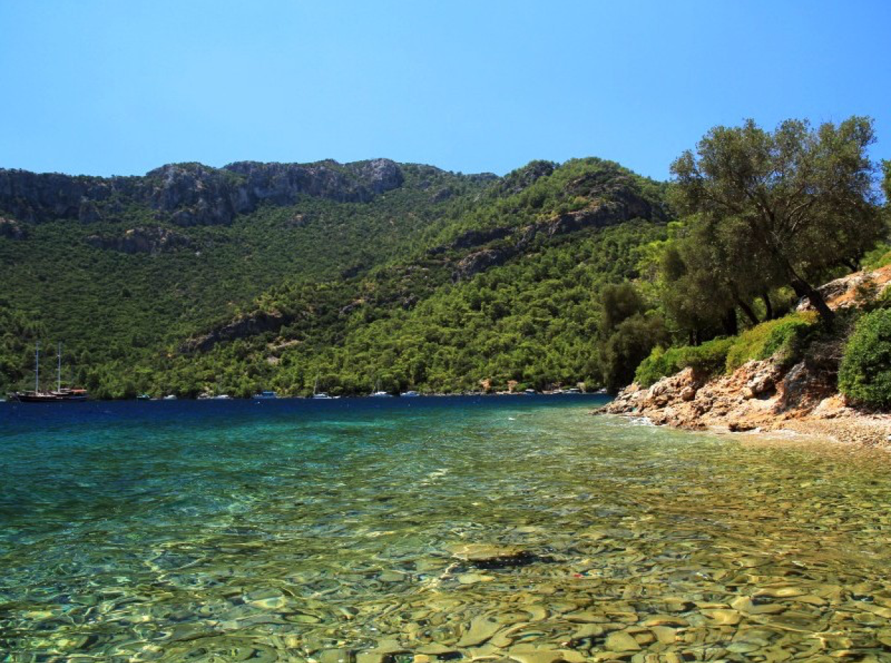 Gocek Activities