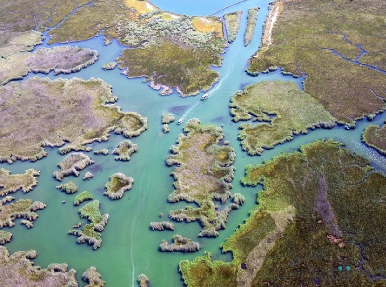 Köyceğiz Tekne Turları. Köyceğiz Ege Villa