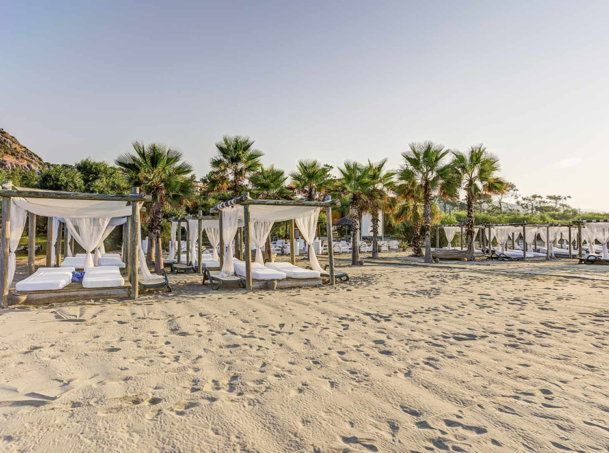 Sarıgerme Aktiviteleri