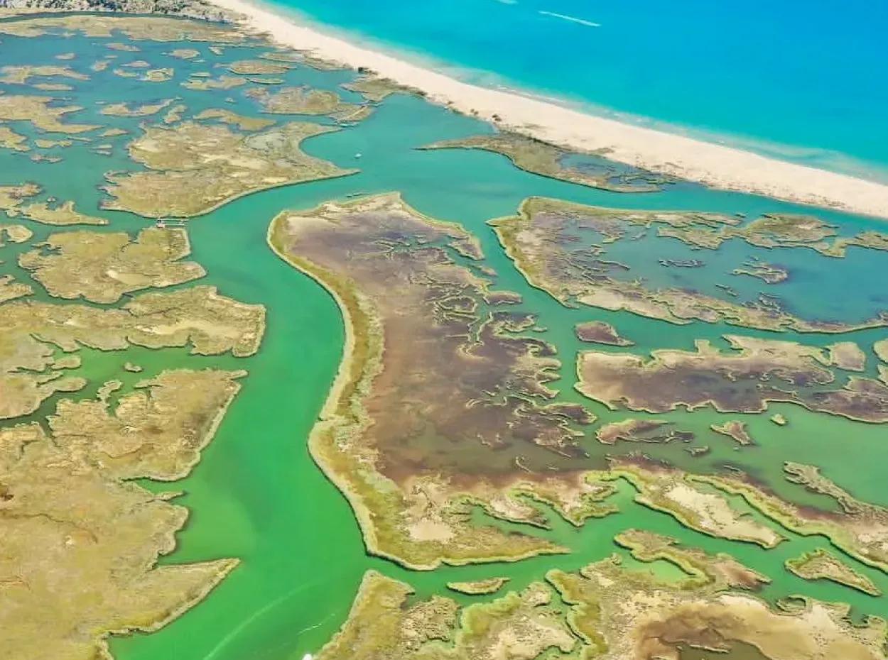 Dalyan, Dalyan Hakkında