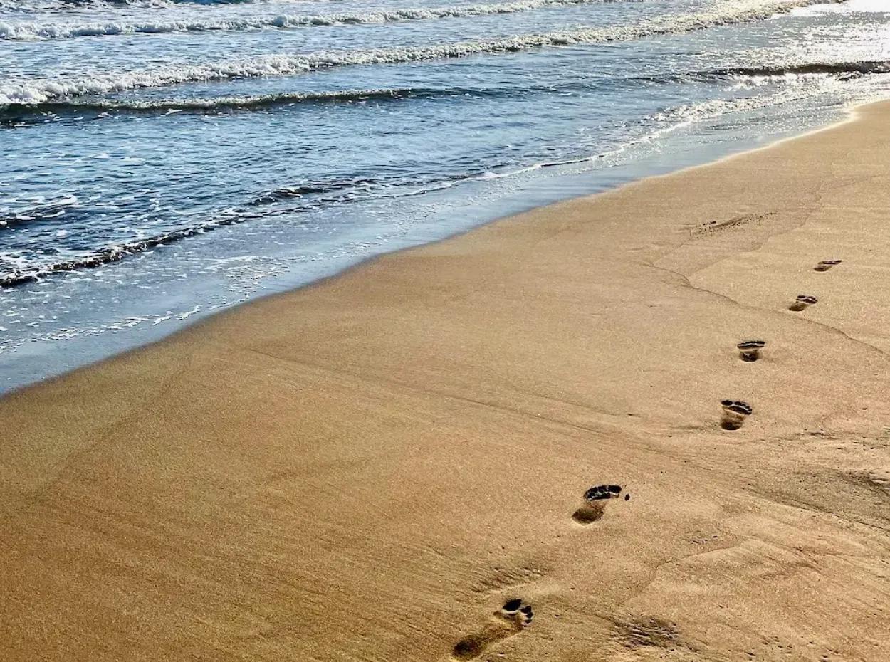 Dalyan Fotoğrafları. Dalyan Hotel Tatili